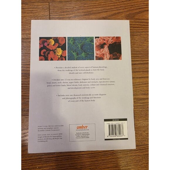 The Human Body An Essential Guide To How The Body Works By Dr.‎ Peter Abrahams - Picture 9 of 9